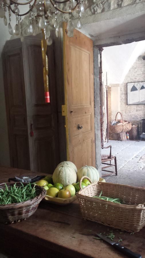 Chateau De Fontblachere Saint-Lager-Bressac Εξωτερικό φωτογραφία