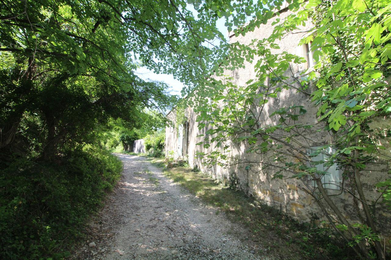 Chateau De Fontblachere Saint-Lager-Bressac Εξωτερικό φωτογραφία